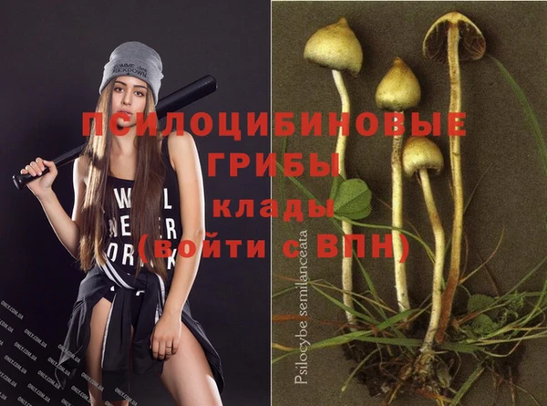 прущий лед Белокуриха