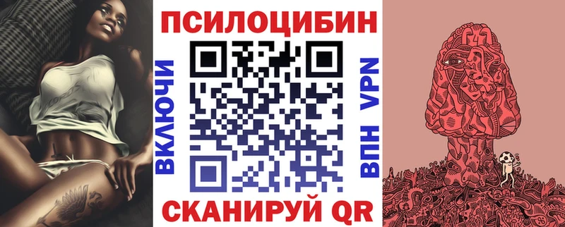 купить закладку  Володарск  Псилоцибиновые грибы Psilocybine cubensis 
